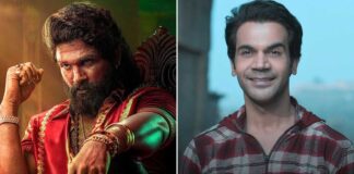 Pushpa 2 Hindi Box Office Day 28