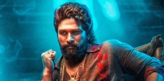 Pushpa 2 OTT Release Date Out?